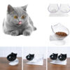Elevated Cat Double Food Bowl – Tilted, Cervical Spine Protection Design