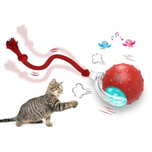 Cheerble Interactive Rolling Ball – Smart Cat Toy with Lights & Motion